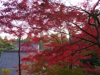 秋の神護寺境内