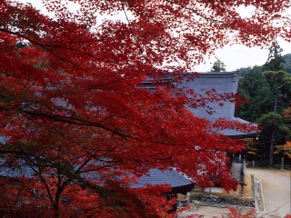 秋の神護寺境内