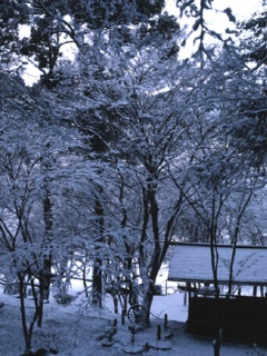 冬の神護寺境内
