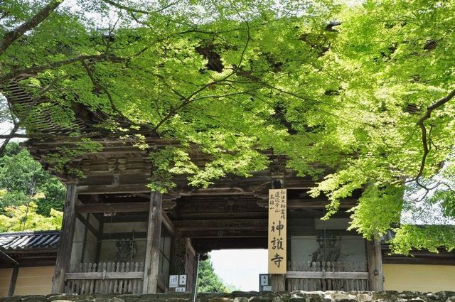 高雄山神護寺